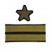 СТАРШИЙ ЛЕЙТЕНАНТ, нарукавный знак офицеров ВМФ СССР, обр. 1943 г.
